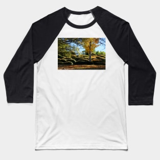 Autumn Sunshine Baseball T-Shirt